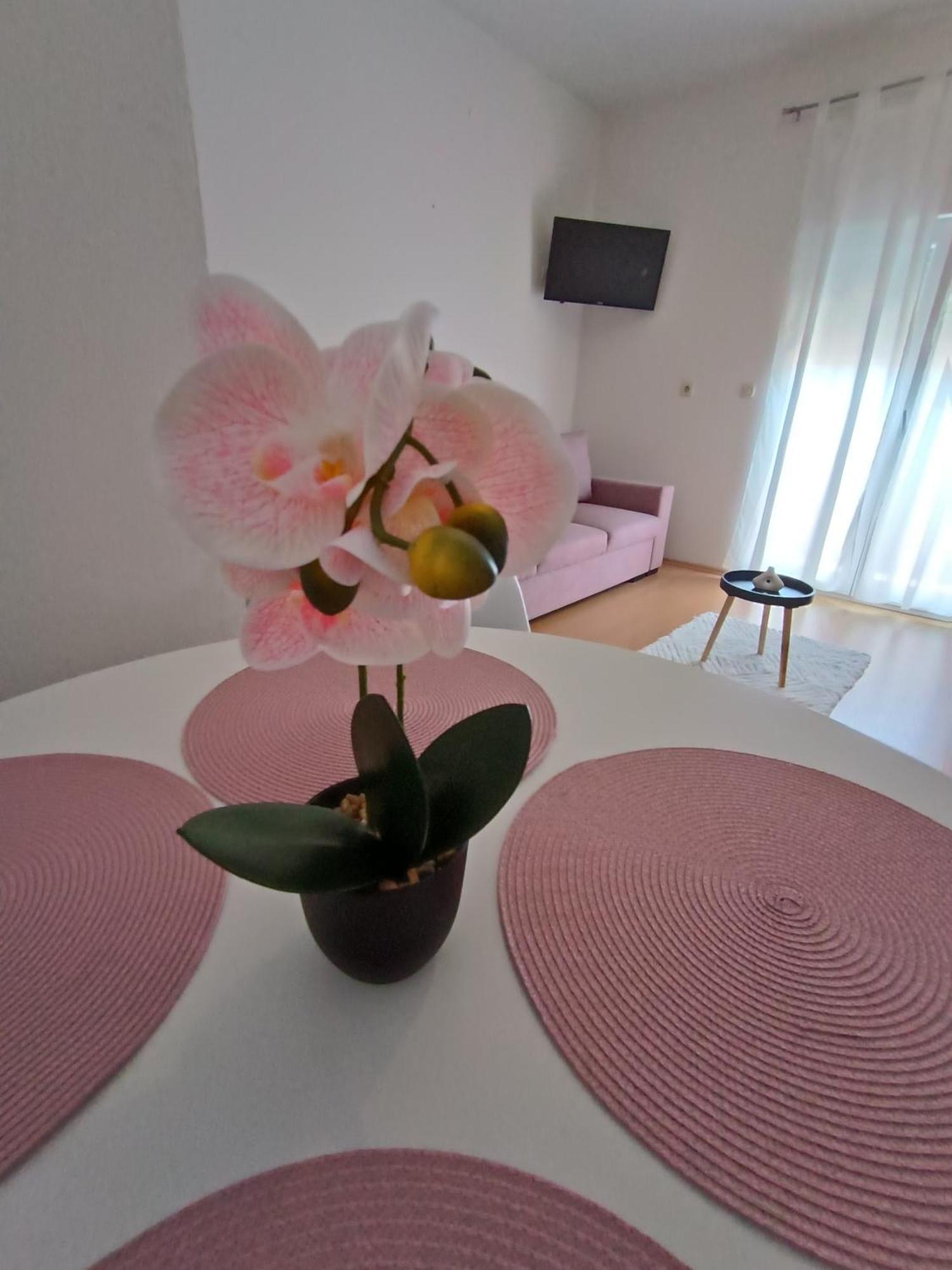Apartman Lea Sukosan Exterior photo